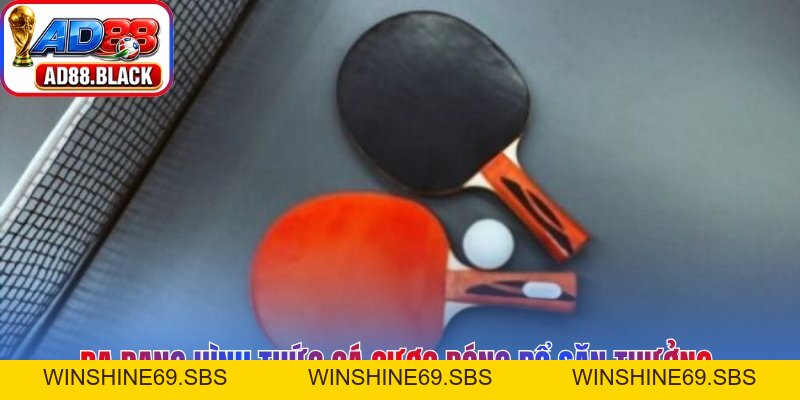 Cá Cược Bóng Rổ AD88 – Cẩm Nang Chinh Phục Mọi Kèo Đấu - Winshine69