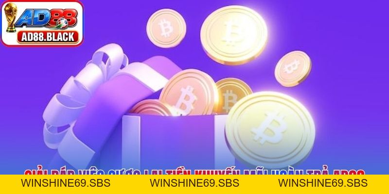 Khuyến Mãi Hoàn Trả AD88 - Cơ Hội Bảo Toàn Vốn Miễn Phí - Winshine69