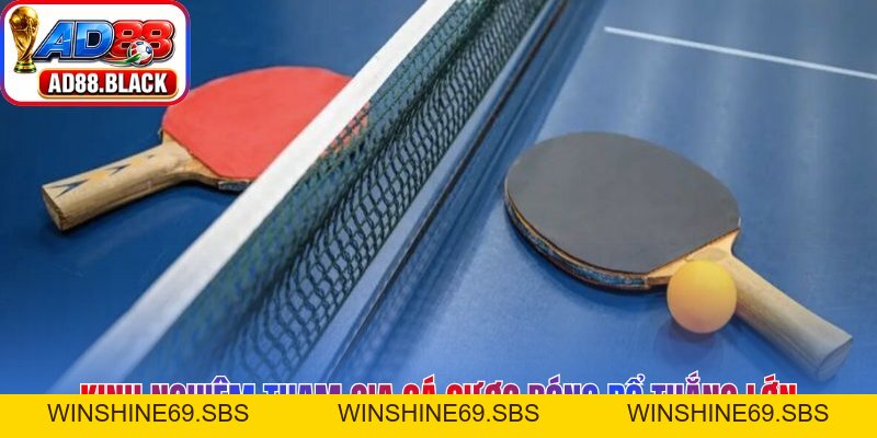 Cá Cược Bóng Rổ AD88 – Cẩm Nang Chinh Phục Mọi Kèo Đấu - Winshine69