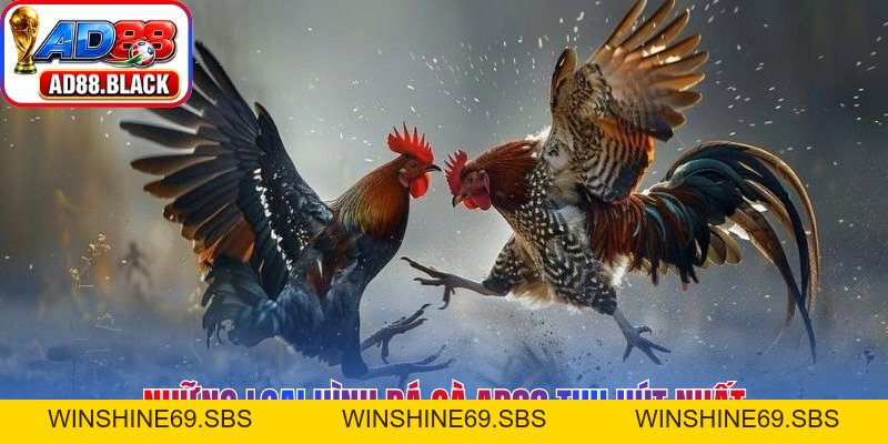 Đá Gà AD88 – Đấu Trường Rực Lửa Chiến Kê Huyền Thoại - Winshine69