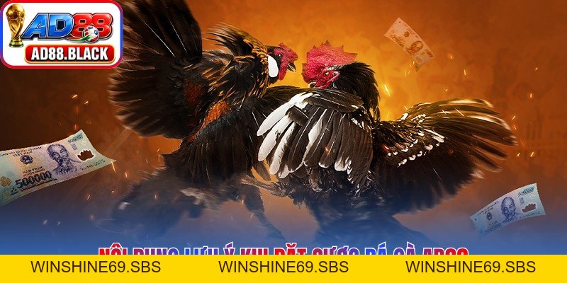 Đá Gà AD88 – Đấu Trường Rực Lửa Chiến Kê Huyền Thoại - Winshine69
