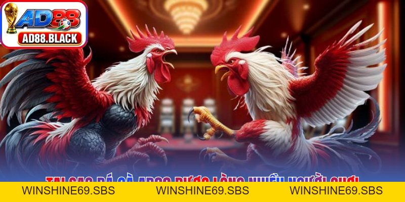 Đá Gà AD88 – Đấu Trường Rực Lửa Chiến Kê Huyền Thoại - Winshine69