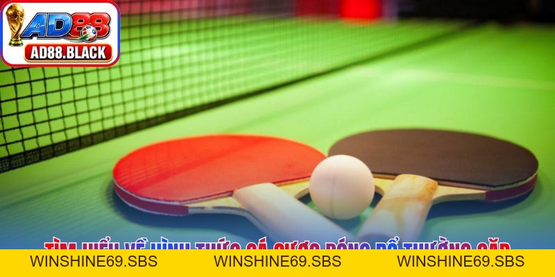 Cá Cược Bóng Rổ AD88 – Cẩm Nang Chinh Phục Mọi Kèo Đấu - Winshine69